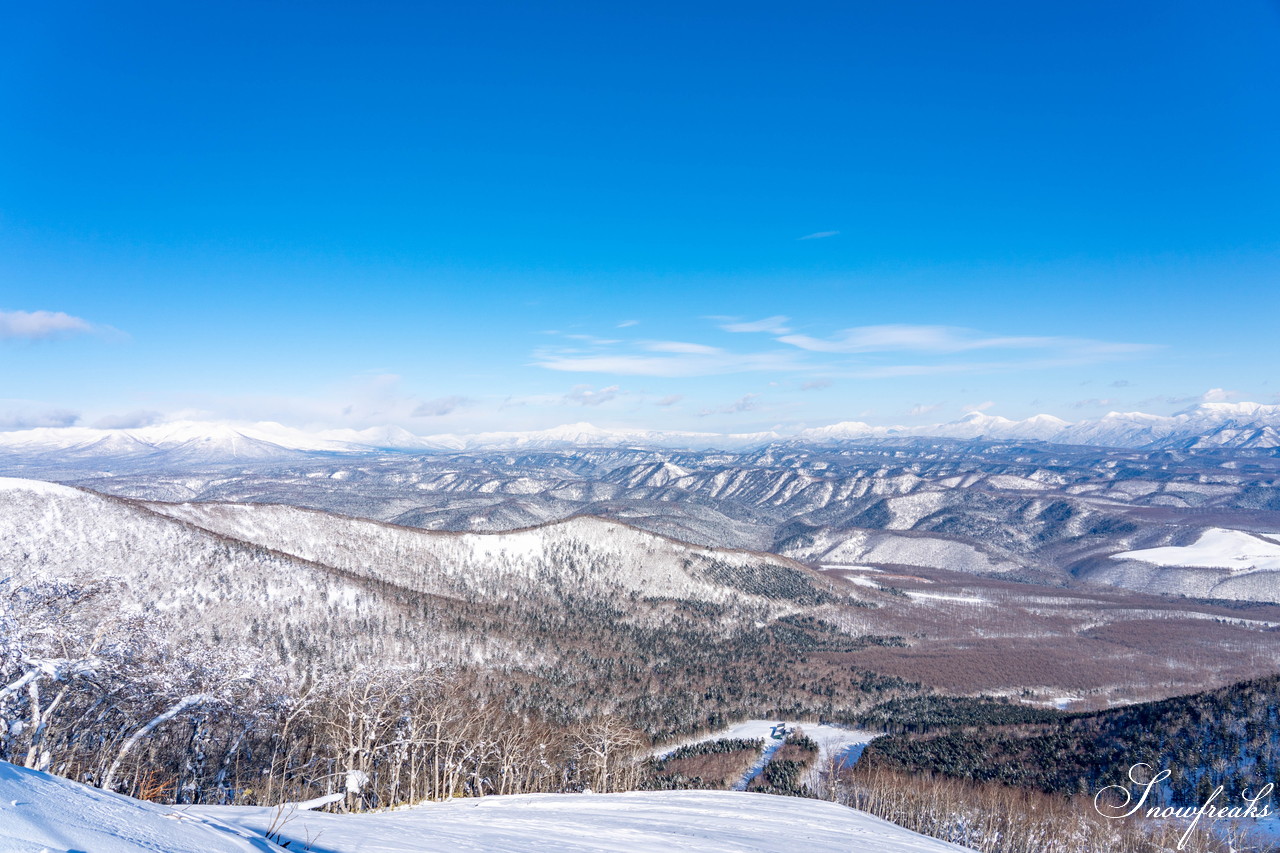 十勝サホロリゾート 快晴の空の下、極上の粉雪クルージングバーンを心ゆくまで味わう１日(*^^*)